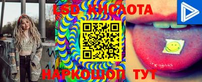 метадон Кингисепп