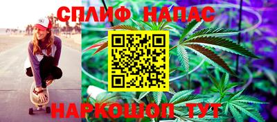 метадон Кингисепп