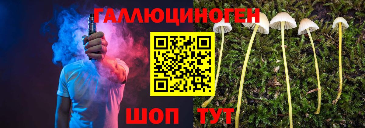 Галлюциногенные грибы Cubensis  Вход с VPN  Казань 
